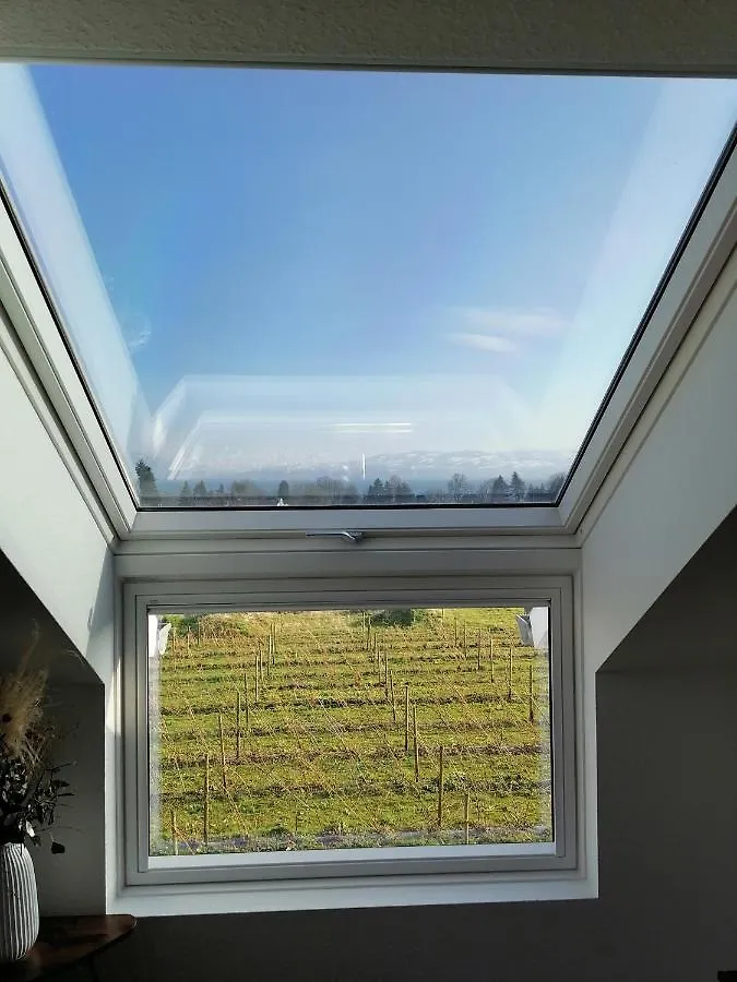 Ferienwohnung Haus Agatha Wasserburg Deutschland